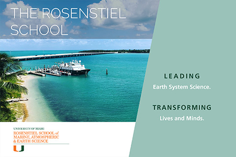 rosenstiel school Brochure